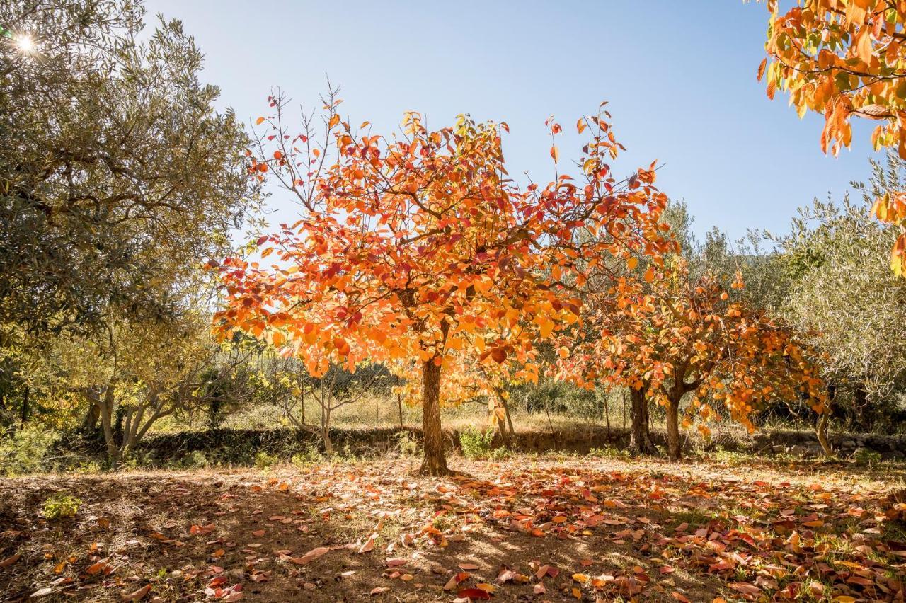 Valateddi Villa Cammarata Buitenkant foto